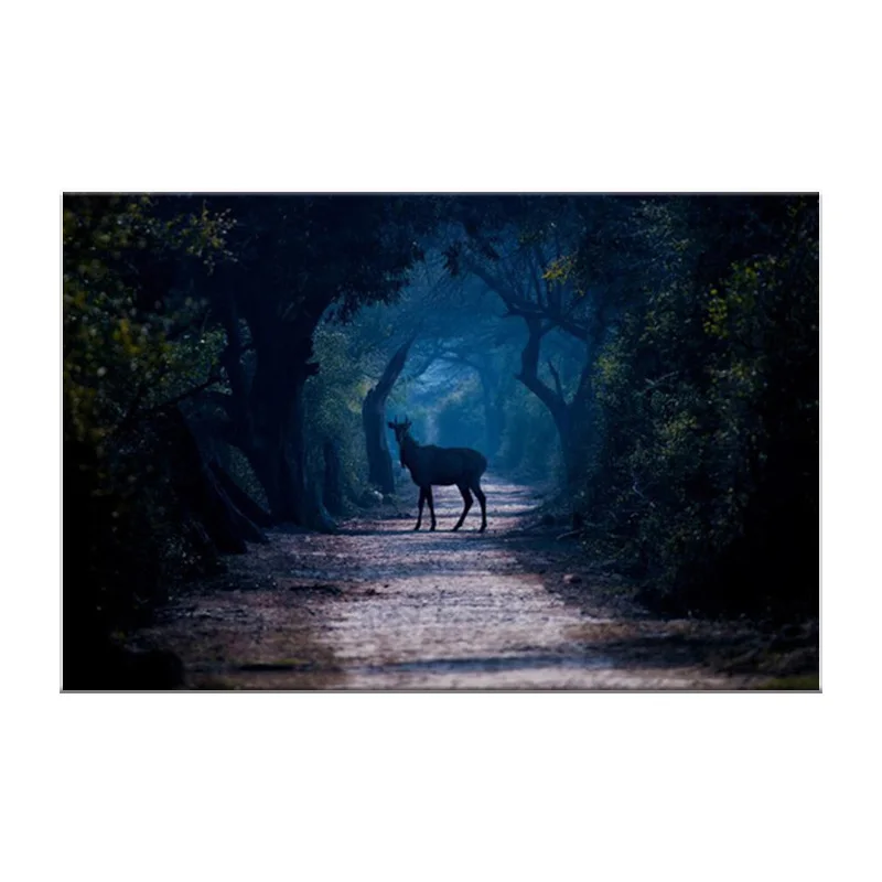 Современные плакаты и принты животных настенная Картина на холсте олень медведи