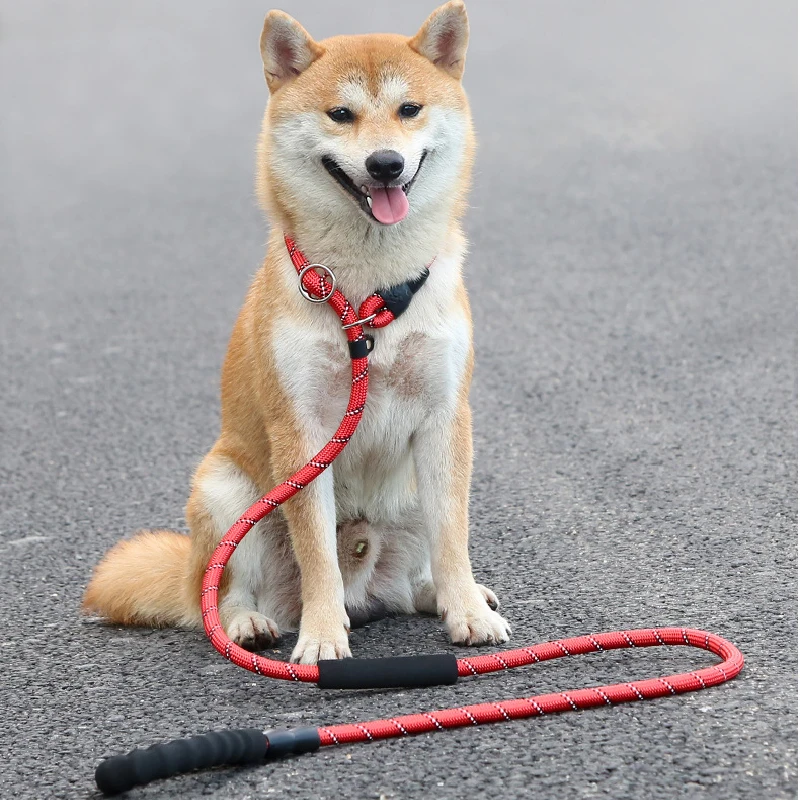 

Reflective P Chain Dog Leash Slip Collar pet Walking Leads Nylon Long Dog Rope soft Double handle For Medium Large Dogs Supplies