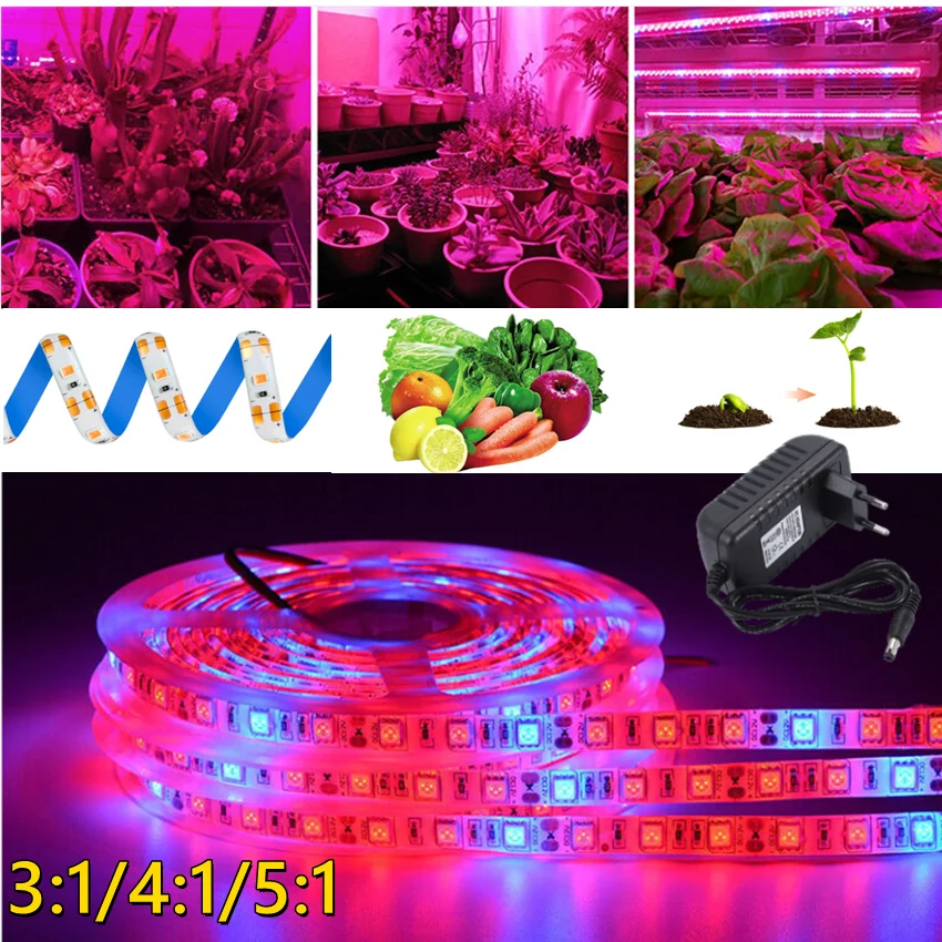 

Full Spectrum Led Grow Light Strip 5M LED Strip+Adapter smd5050 UV Plants Flower Seeds Phyto Growth Lamps Grow Lights