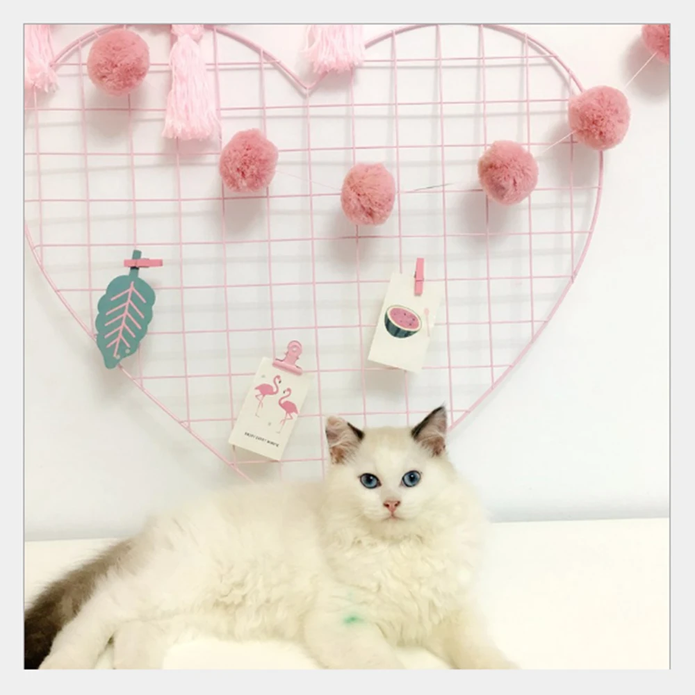 

Wall Decorative Iron Wall Photo Grid Panel Rack Clip Painted Wire Photograph Picture Hanging Frame Photo Organizer Home Decor