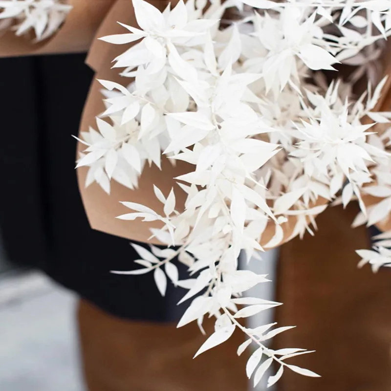 Высушенные цветы в скандинавском стиле натуральные листья серебряного кедра для