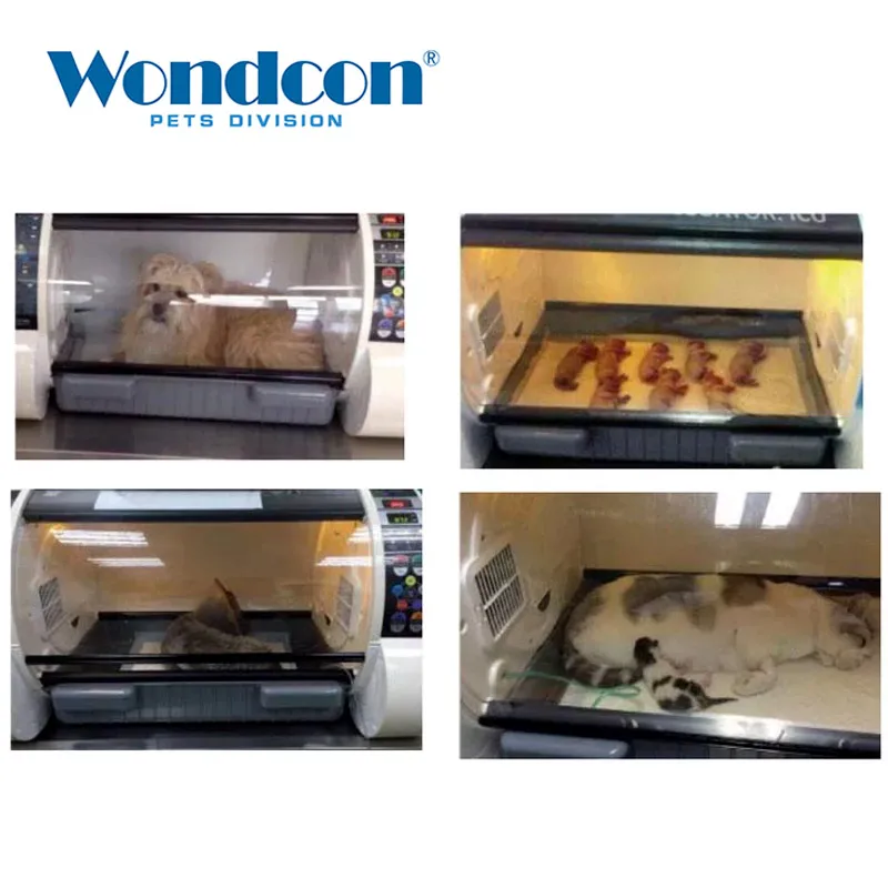 Ветеринарное оборудование для домашних питомцев щенков инкубатор