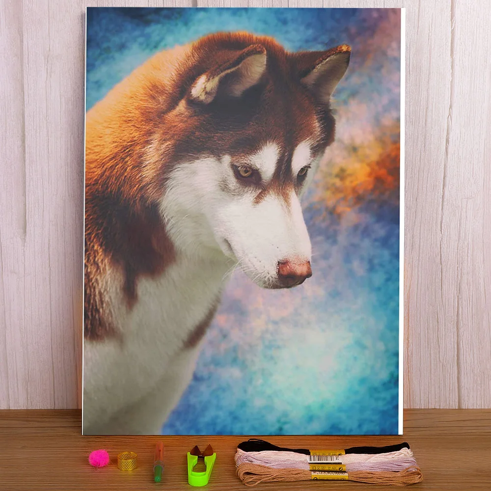 

Animal Dog Husky Printed Canvas 11CT Cross-Stitch DIY Embroidery Kit DMC Threads Craft Handmade Handiwork Promotions