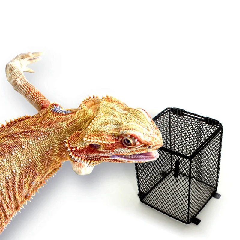 

Garden supplies for home pets Garden supplies for home Lampshade, Bulb Guard For Snake Lizard TurtleReptile shroud protector