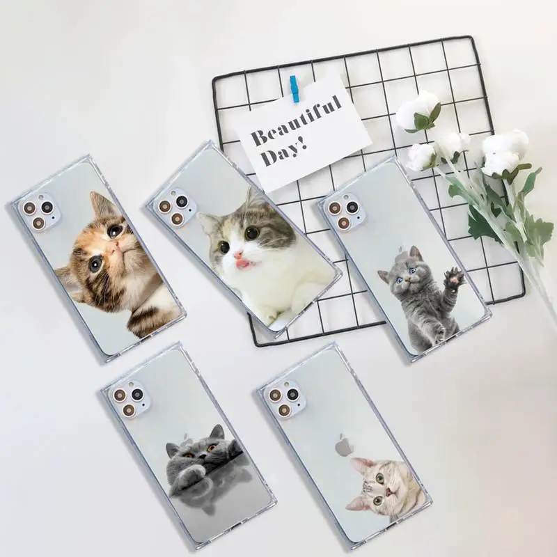 

Cat cute funny animal Phone Case Transparent for iPhone 7 8 11 12 se 2020 mini pro X XS XR MAX Plus