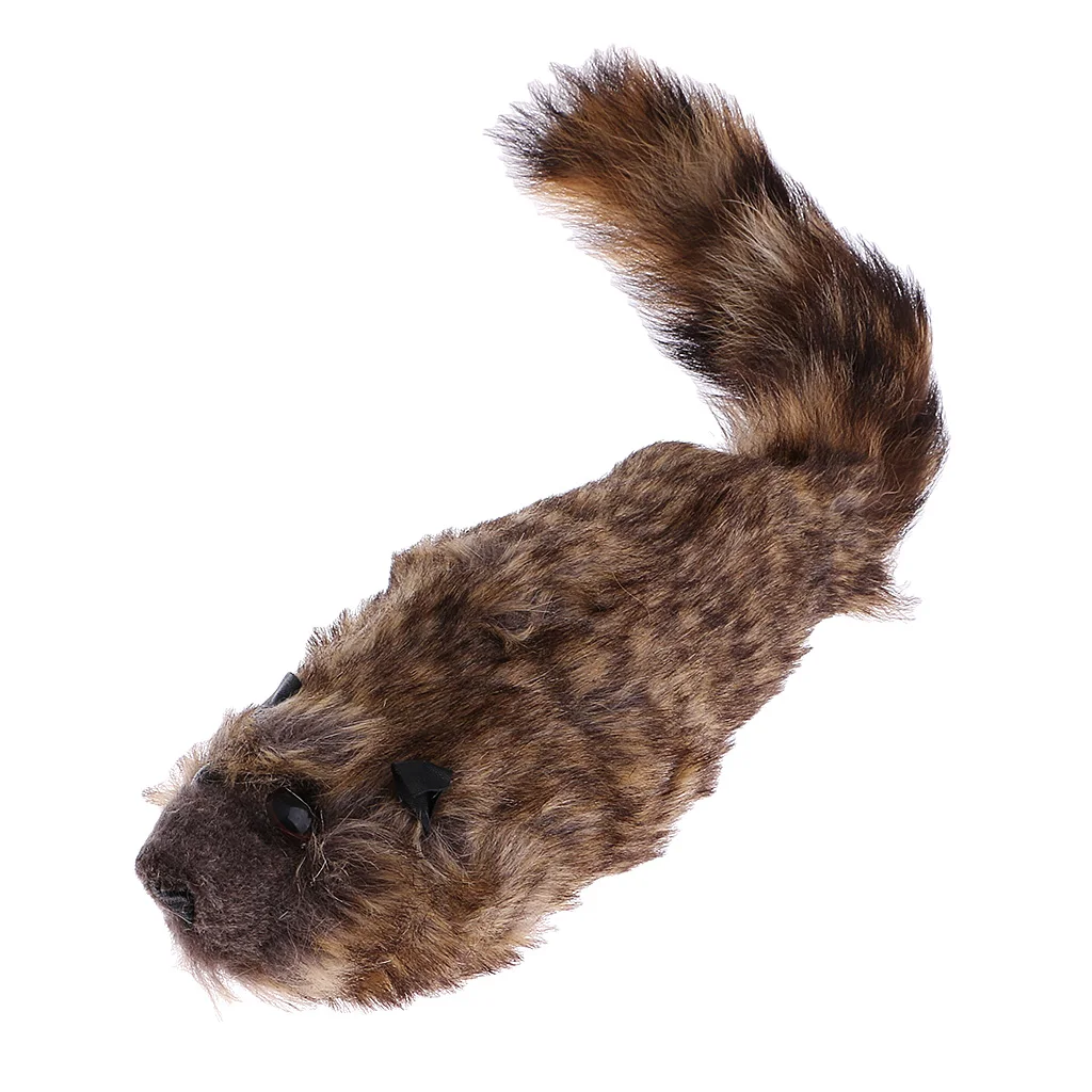 Забавный Робби енот Весна веселье сцена волшебное шоу трюк волшебные игрушки