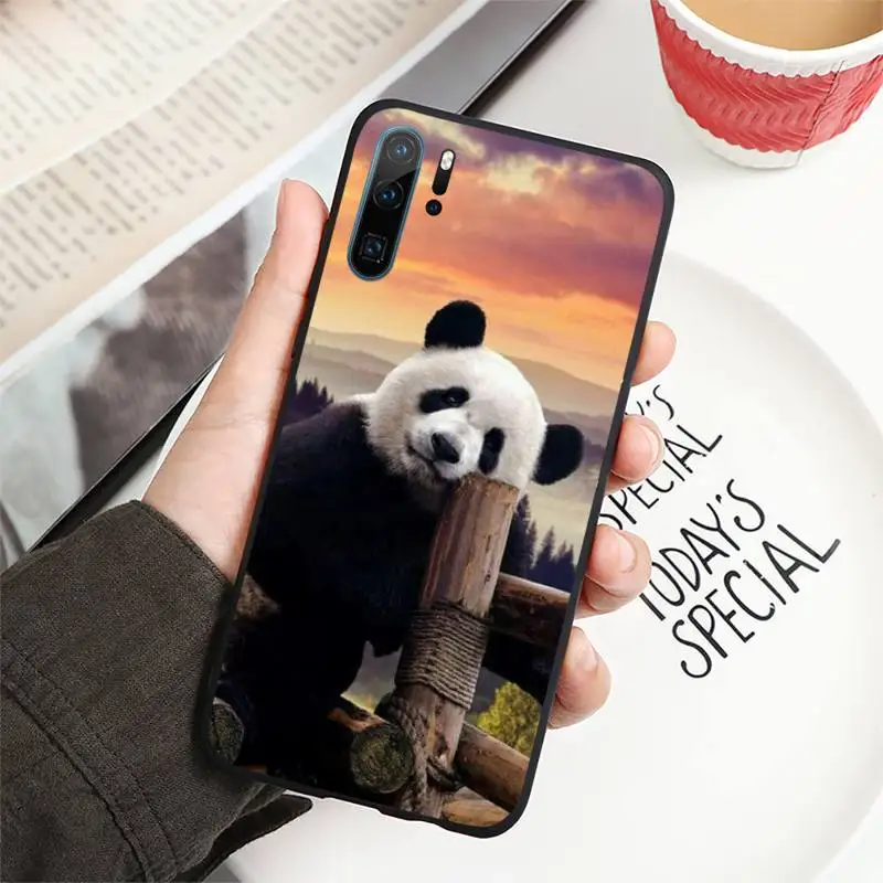 

animal panda Phone Case For Huawei P40 P20 P30 lite Pro P Smart 2019 Mate 40 20 10 Lite Pro Nova 5t