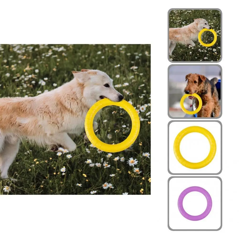

4 Colors Excellent Pet Dog Fitness Flying Discs Portable Pet Flying Ring Eco-friendly Dog Supplies