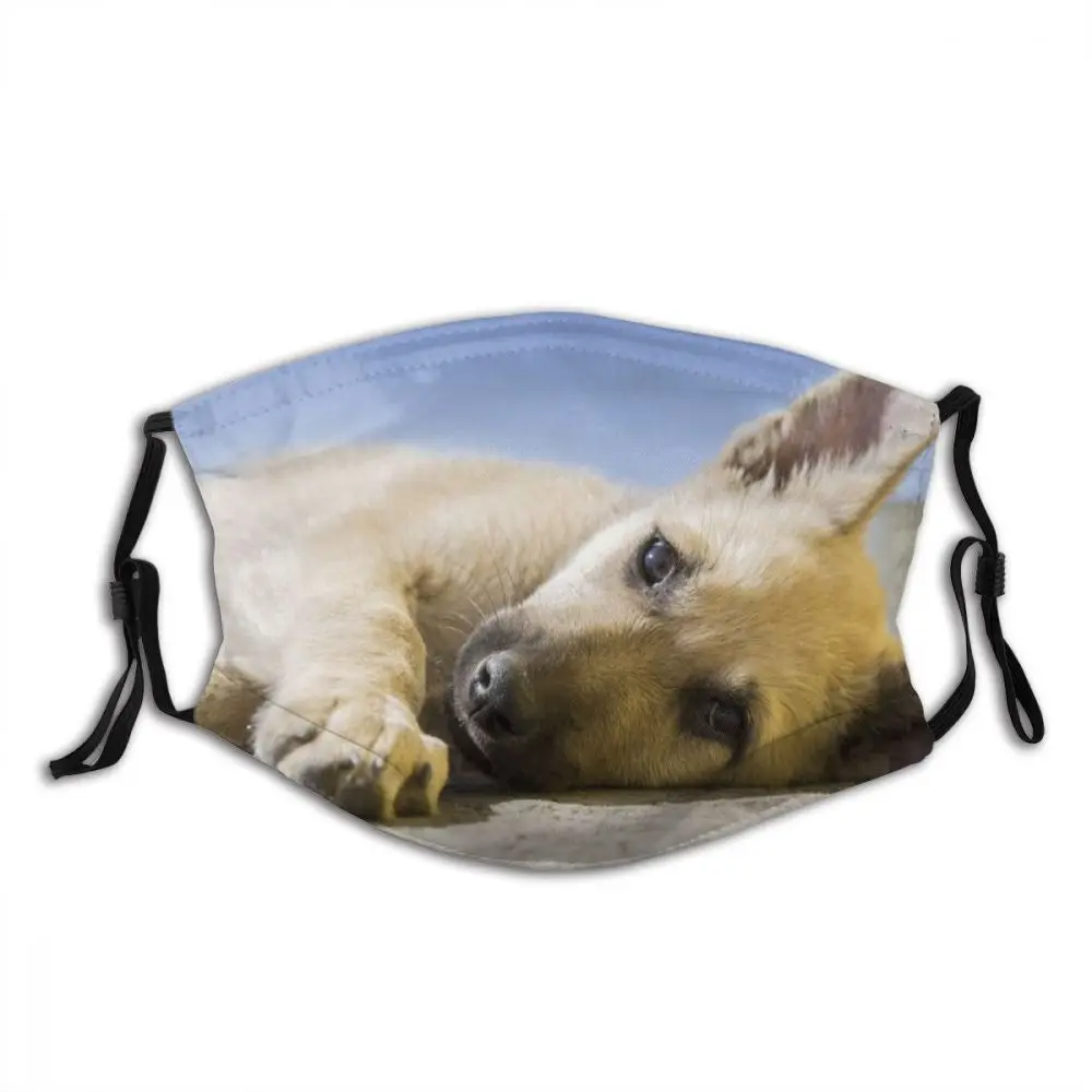 

Dog Animal Reusable Trendy Mouth Face Mask with Filters Anti Haze Cold Proof Polyester Protection Cover Respirator for Adult