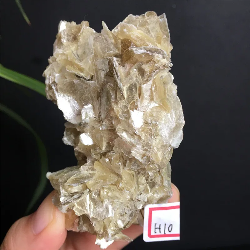 

Natural Yellow Fuxi Mica Crystal Mineral Rough Stone Specimen