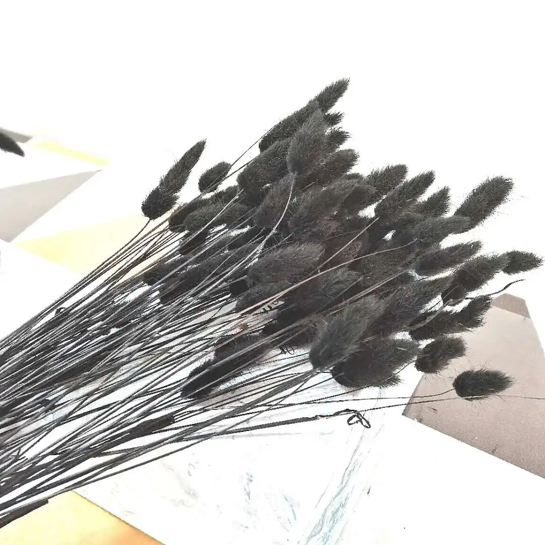 

20PC Dried Flowers Pampas Grass Black Rabbit Tail Grass Artificial Bouquet Nordic Style Home Bedroom Decor Party Decoration DIY