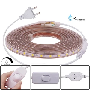 Светодиодная светильник та с регулятором яркости 5050, гибкая Водонепроницаемая LED лампа для украшения дома, 220 В, 60 светодиодов на метр