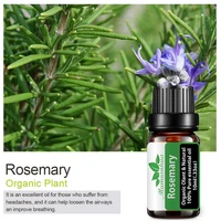 rosemary essential oil pure natural 10ml pure essential oils aromatherapy diffusers oil healthy hair air fresh care