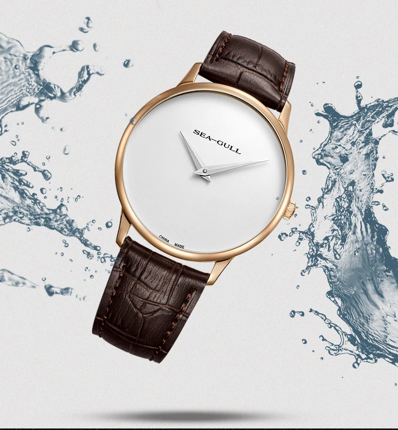 Seagull men's automatic mechanical watch simple dial watch double needle watch automatic watch men watches mens 819.18.6011
