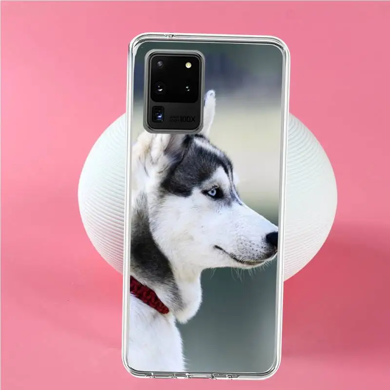 Чехол для телефона Husky dog Samsung S6 S7 edge S8 Plus S9 S10 plus E(lite) | Мобильные телефоны и