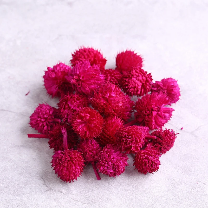 

10g Globe Amaranth Gomphrena Globosa Friut Preserved Natural Dried Flower Gift DIY Material 2021 Newyear Wedding Home Decoration
