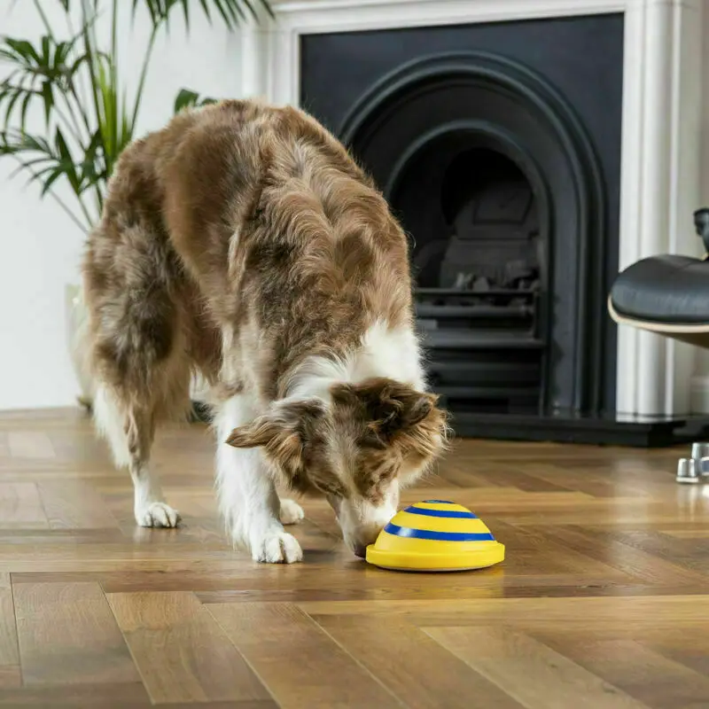 FANHHUI Новый звучащий диск Woof Glider мягкая и безопасная домашняя игровая игрушка для