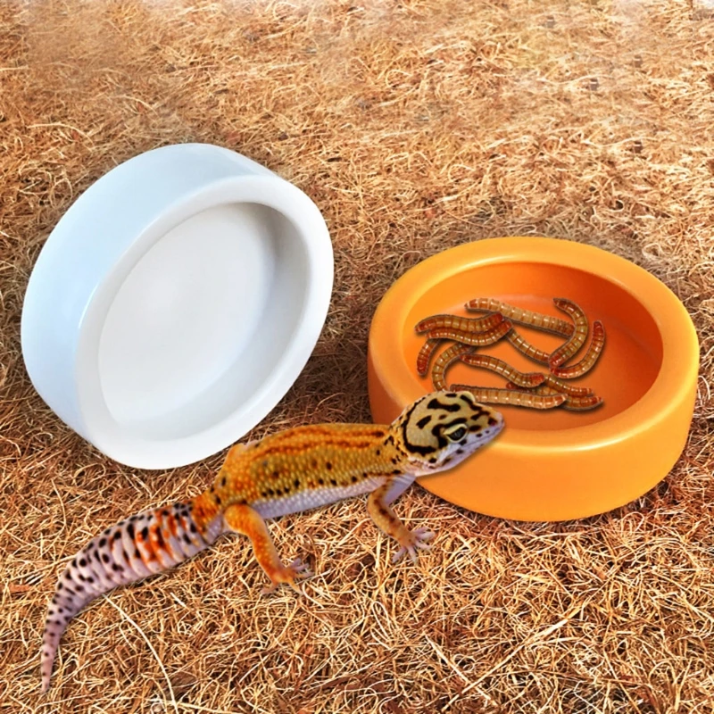 

69HF Reptile Food Bowl Lizard Gecko Food Water Dish Bearded Dragon Feeding Dish Ceramics Worm Dish for Lizard Anoles