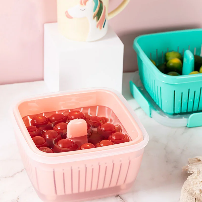 

Japanese Style Pp Double Layer Water Draining Freshness Box Refrigerator Storage Box Sealed Chopped Green Onion Ginger and Garli
