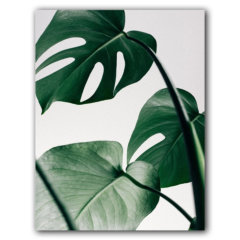 

Green Plant Tropical Palm Banana Turtle Leaf Wall Art Canvas Painting Posters And Prints Wall Pictures For Living Room Decor