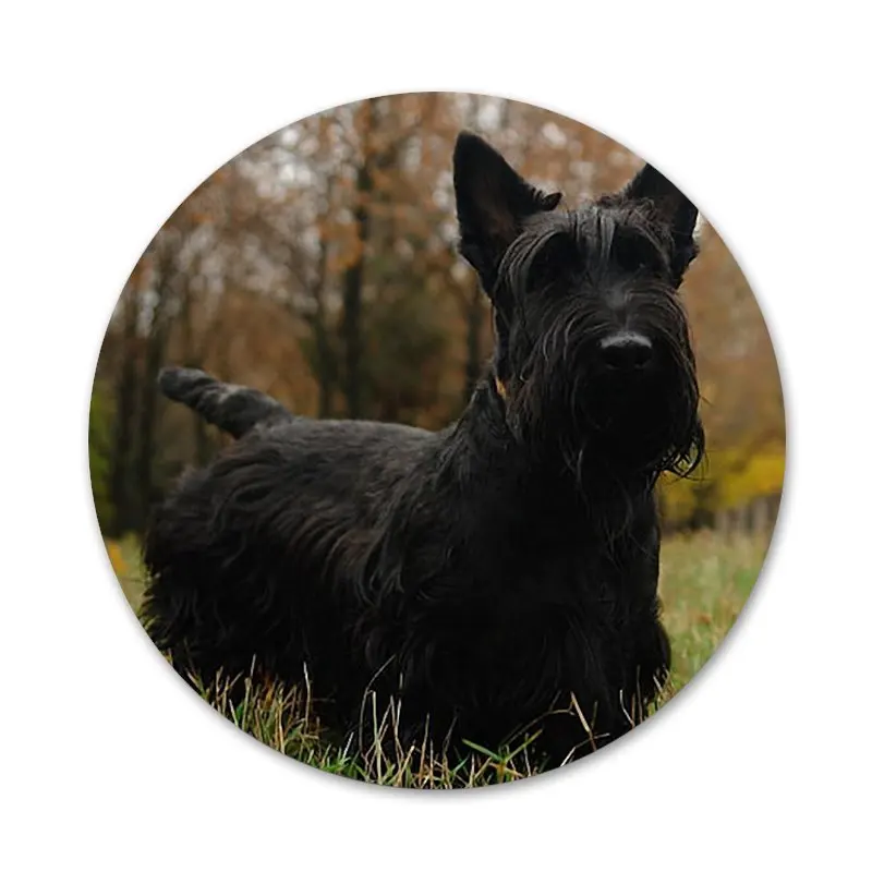 Шотландского терьера Собака Щенок значок брошь заколка аксессуары для одежды