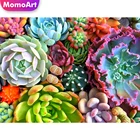 MomoArt Алмазная Живопись Суккуленты картина стразами алмазная мозаика  цветы вышивка бисером алмазная вышивка  рукоделие декор на стену