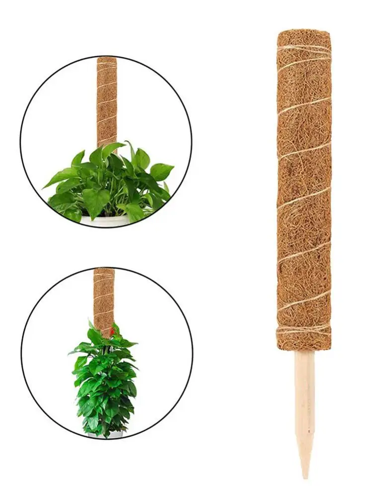 

40cm/50cm Coir Totem Pole Safe Plant Support Extension Coir Moss Stick For Climbing Indoor Plants