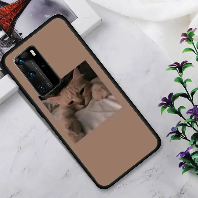 

cute cats Phone Case For Huawei Honor View V30 7A 8 9 10 20 30 Play Lite Pro Fundas Cover