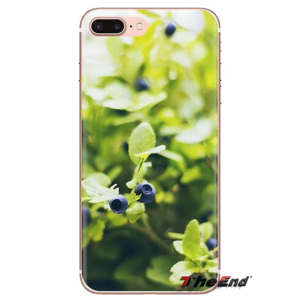Обои еда черника для huawei G7 G8 P7 P8 P9 P10 P20 P30 Lite Mini Pro P Smart плюс 2017 2018 2019 прозрачный чехол