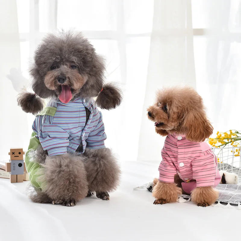 

Новинка 2021 осенне-зимняя одежда для домашних животных Одежда для собак Милая одежда для маленьких собак с белым гусиным нагрудником и четыр...