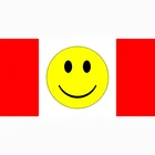 Радужный Флаг США с радужным принтом гордости и равномерностью, смайлик, улыбающееся лицо, устойчивое к выцветанию, двойная прошивка, 3x5 футов, с латунными прокладками, Декор