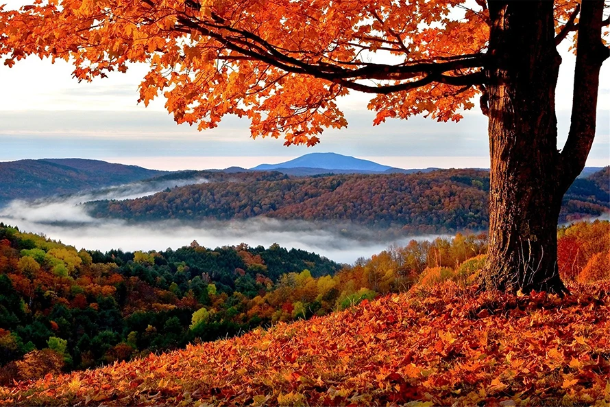 Полноразмерная 5D картина из страз сделай сам 3D Алмазная живопись полноразмерная