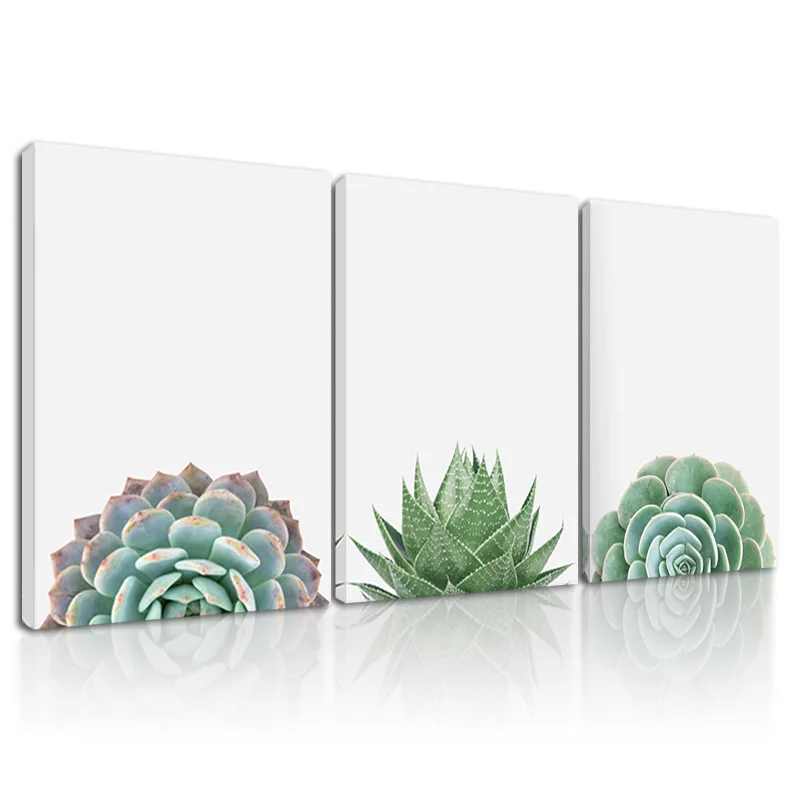 

Succulent Aloe Vera Plant Canvas Painting Ready To Hang Wall Art for Living Room Framed Picture Decoration Poster Nordic Design