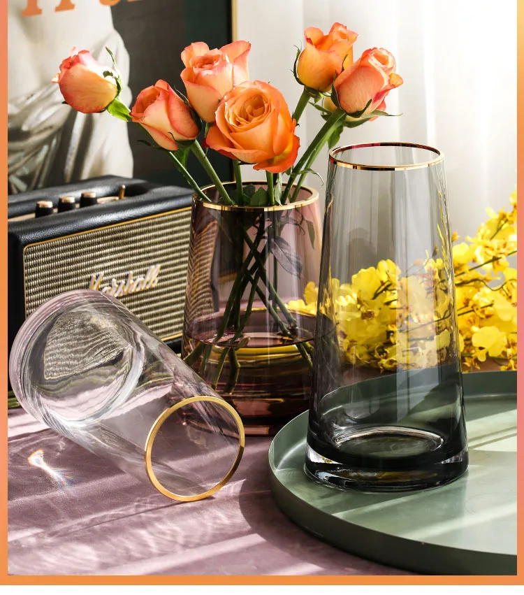 

Transparent Glass Vase Living Room Flower Arrangement Vases Home Decor Hydroponics Nordic Golden Stroke Creative Simple Vase