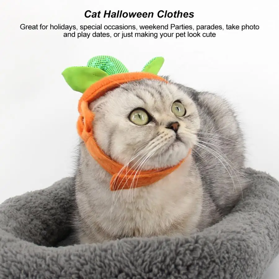 Аксессуары для костюма кошки костюм тыквы питомца одежда маленькой собаки с