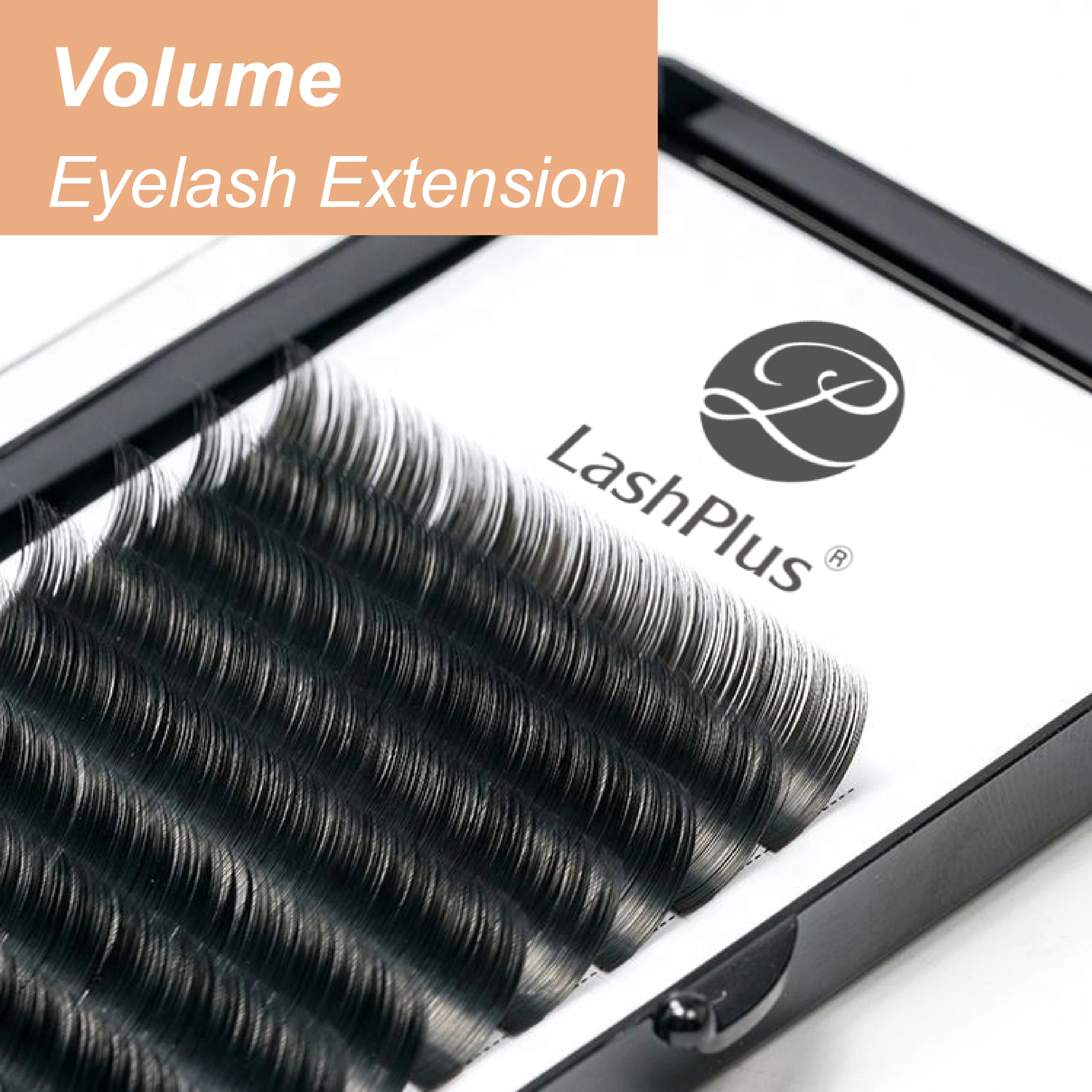 

LASHPLUS Easy Fanning Eyelash Extension Blooming Volume Eyelashes Self-making Fast Fans Bloom Lashes Extension Volume Lash