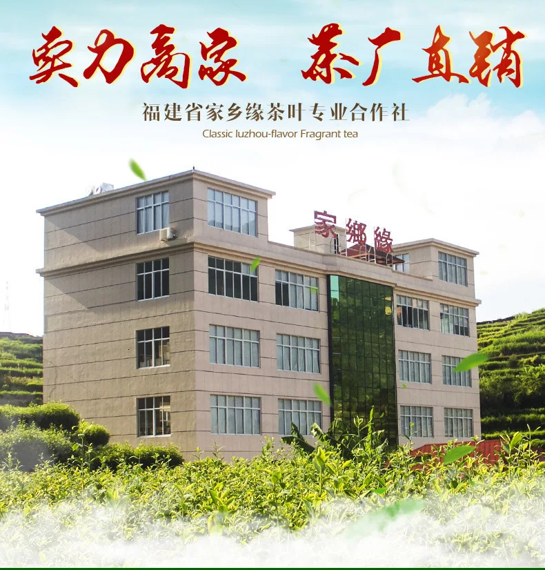 Аньси зеленый органический чай Tie Guan Yin A + варить чувствовать себя Гуань Инь Юнь
