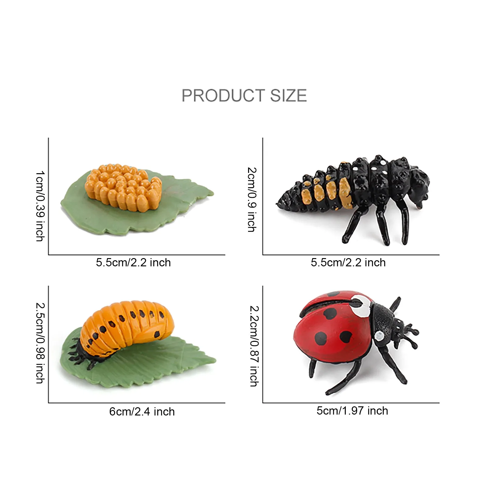 

Simulation Arthropod Life Cycle of a Spider Bee Ladybugs Model Stimulate Children's Curiosity Educational Preschool Toy Jouet