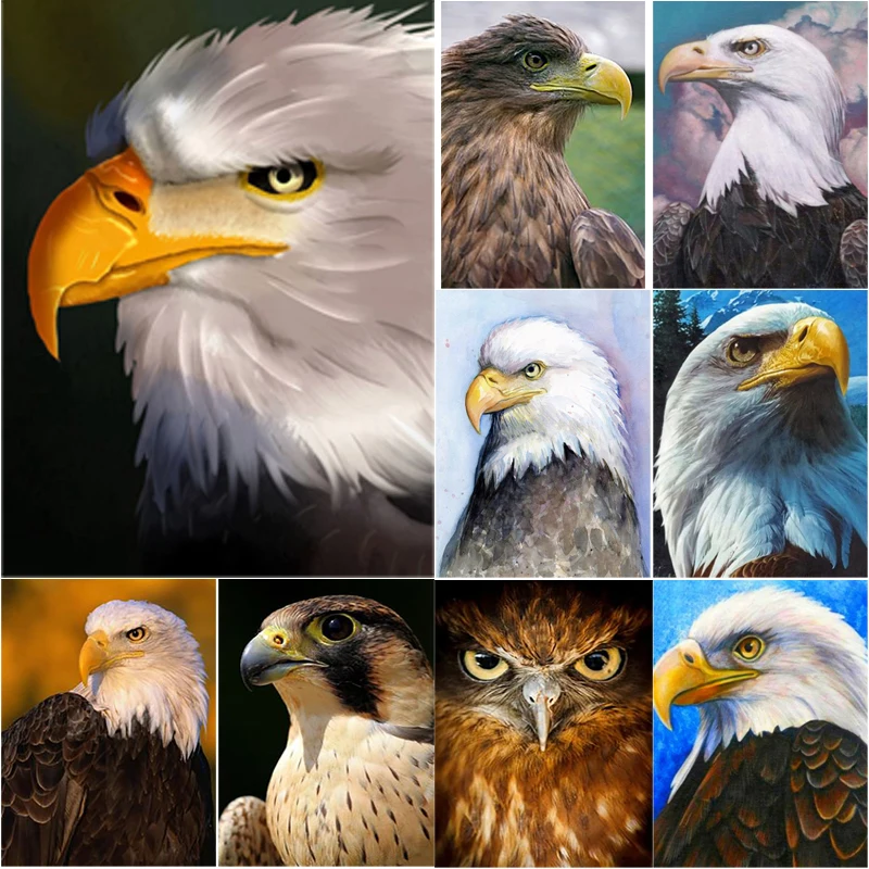 

5D DIY Diamond Painting Manual Gift Bald Eagle Diamond Embroidery Animal Cross Stitch Full Square Round Drill Crafts Home Decor