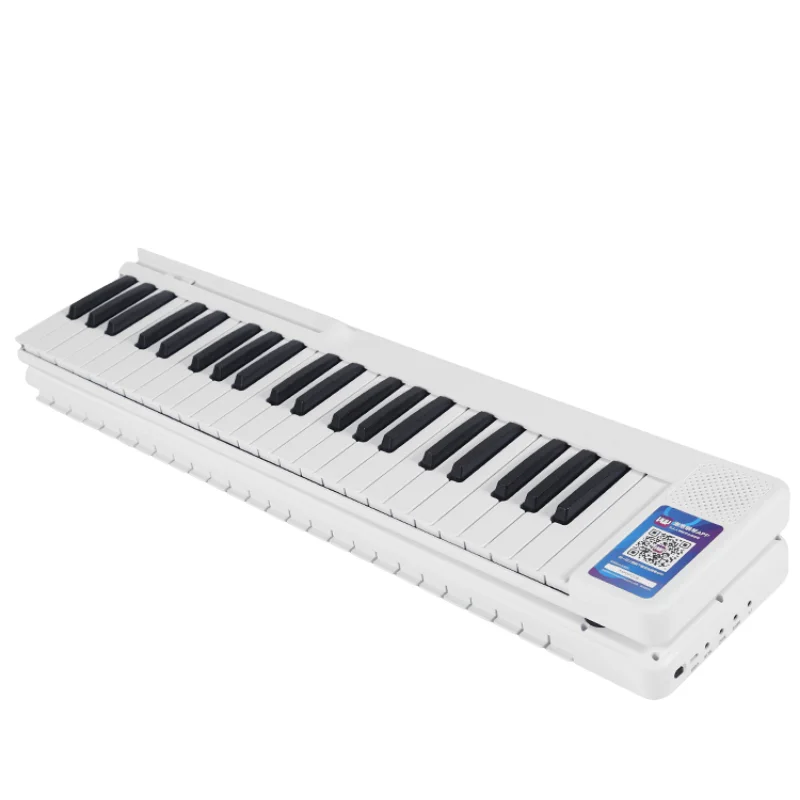 

Electronic Music Keyboard Electric Organ Memory Profissional Roll Up Electric Organ Adulto Piano Portable Christmas Present
