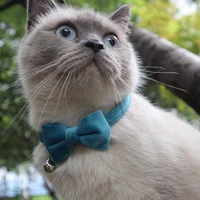 1pc velvet cat collar bowknot adjustable safety buckle premium texture cat tie cat tie accessories with bell pet supplies