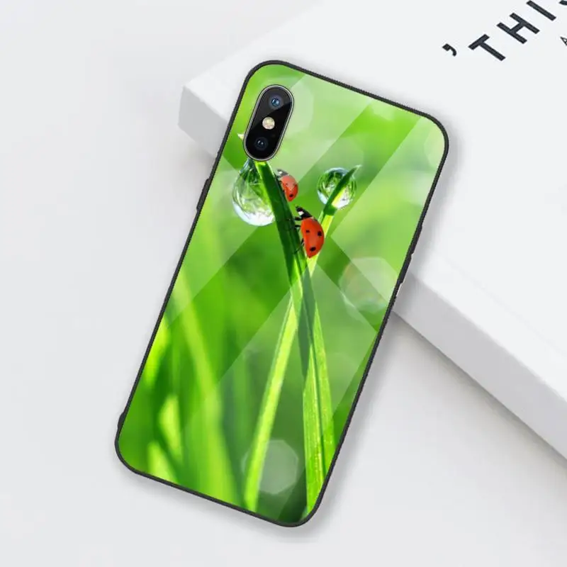 

four leaf ladybug daisy Phone Case Tempered glass For iphone 6 6S 7 8 plus X XS XR 11 12 mini PRO MAX