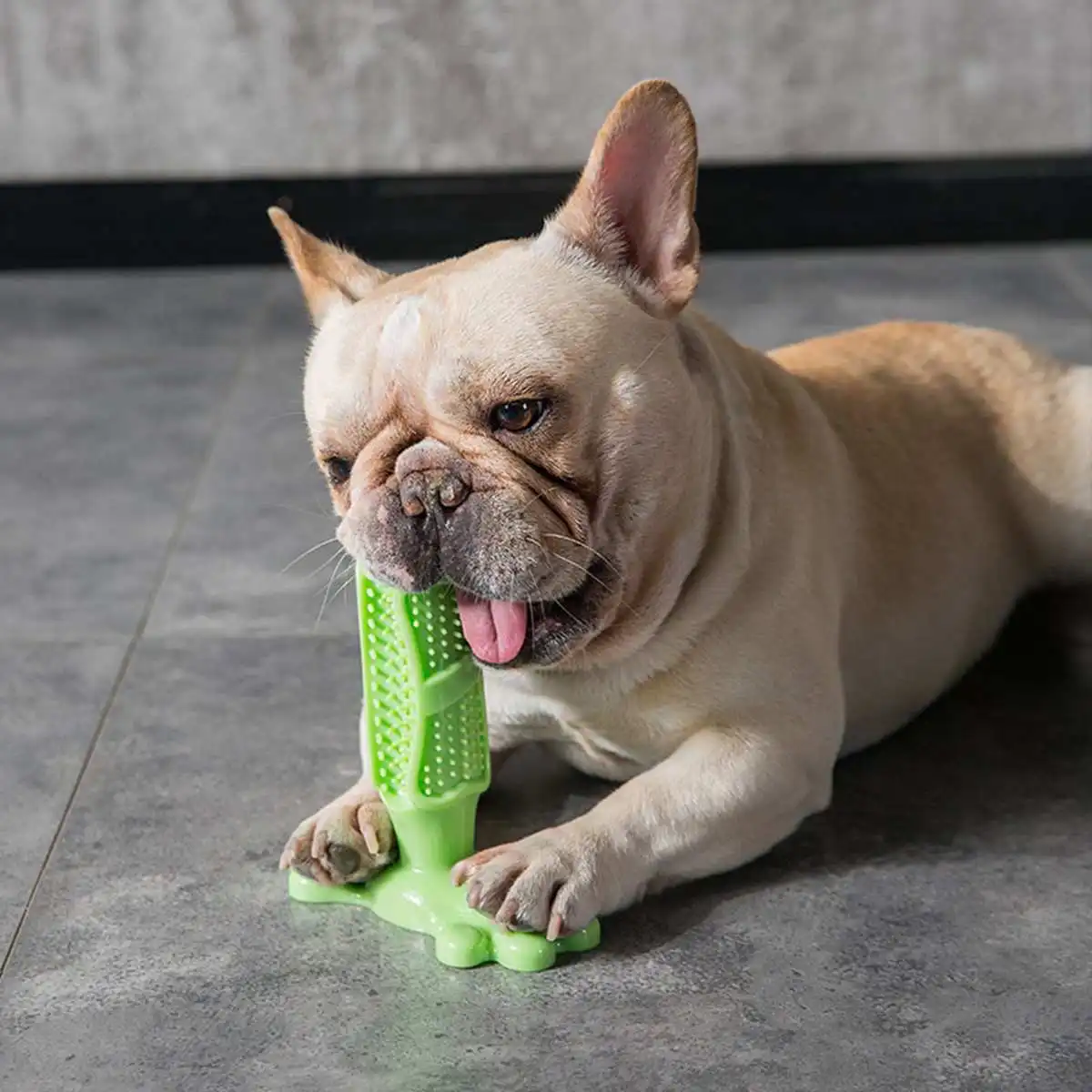 

Pet Dog Toothbrush Rubber Chew Toy Doggy Brush Stick Soft Massage Cleaning Dot Toothpaste For Small Dogs Pets Toothbrushes