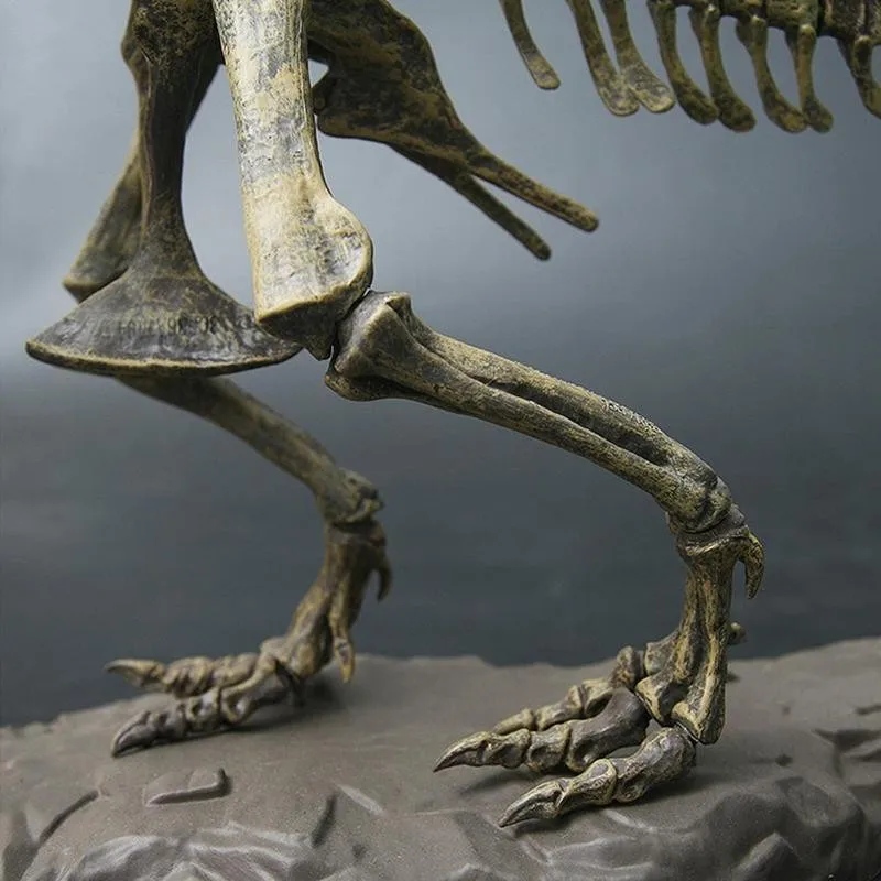 70 см 4d сборные игрушки динозавры тираннозавр набор для добычи науки кости