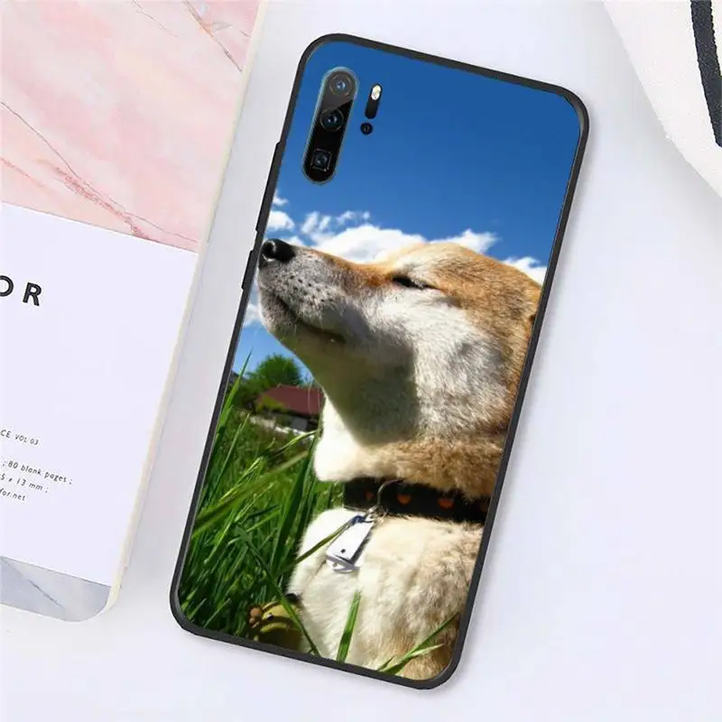 

shiba inu lovely dog animal Phone Case For Huawei honor Mate P 10 20 30 40 Pro 10i 9 10 20 8x Lite Y91C V17 6.38 6.44