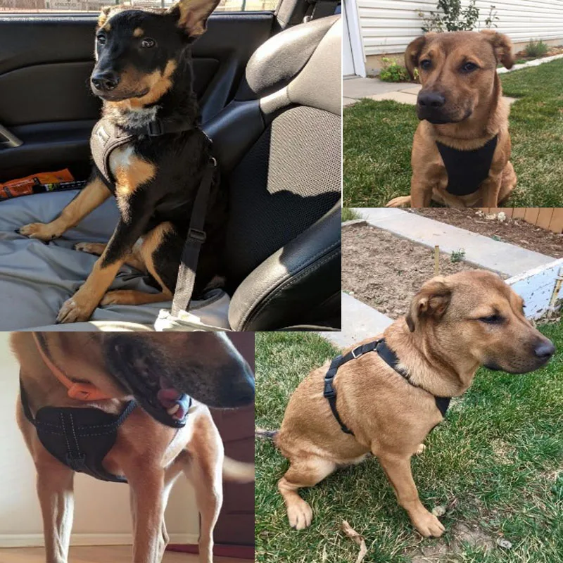 Ремни безопасности для собак регулируемые дышащие с ремнем | Дом и сад