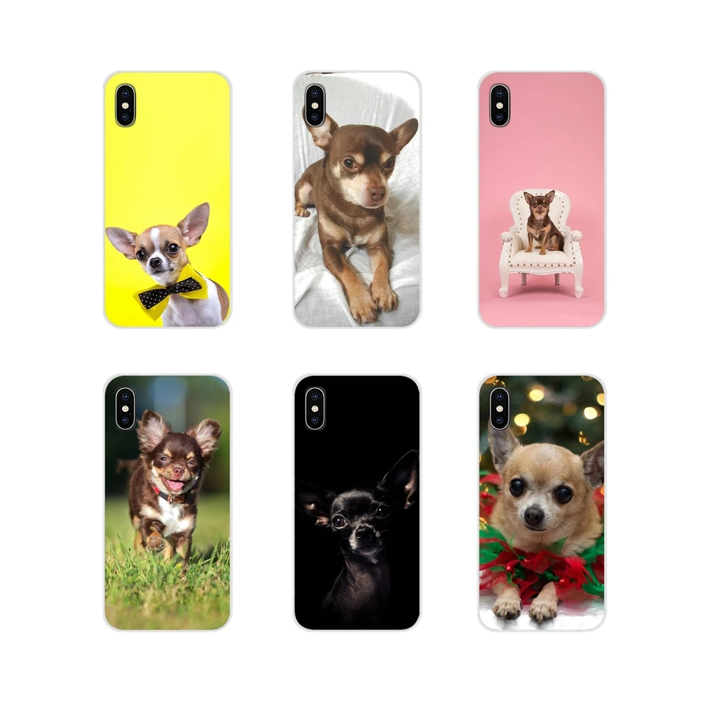 Аксессуары для животных чихуахуа собак чехлы телефонов samsung A10 A30 A40 A50 A60 A70 Galaxy S2 Note