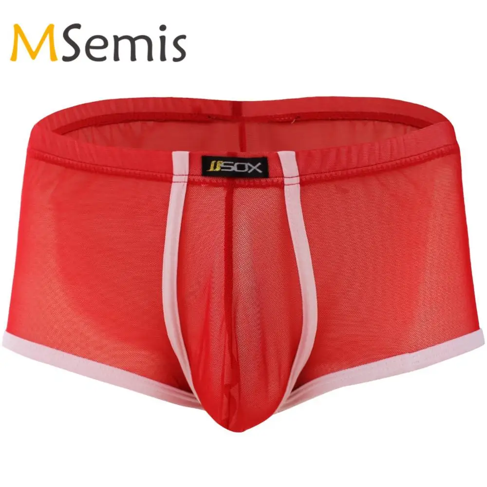 Gay Swimwear Underwear Mens Swimsuit Transparent Swimming Truck Gay Underwear Mesh Boxer Briefs Shorts Semi-See Through Swimwear