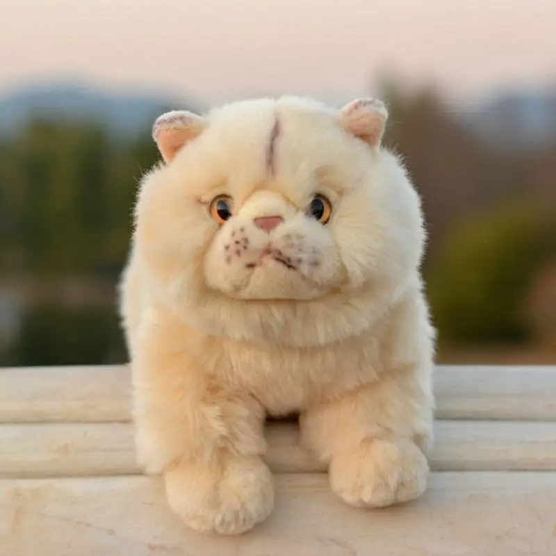 

Super Nice And Soft Persian Cat Dolls Plush Cats Toy Girlfriend Birthday Gifts High Quality