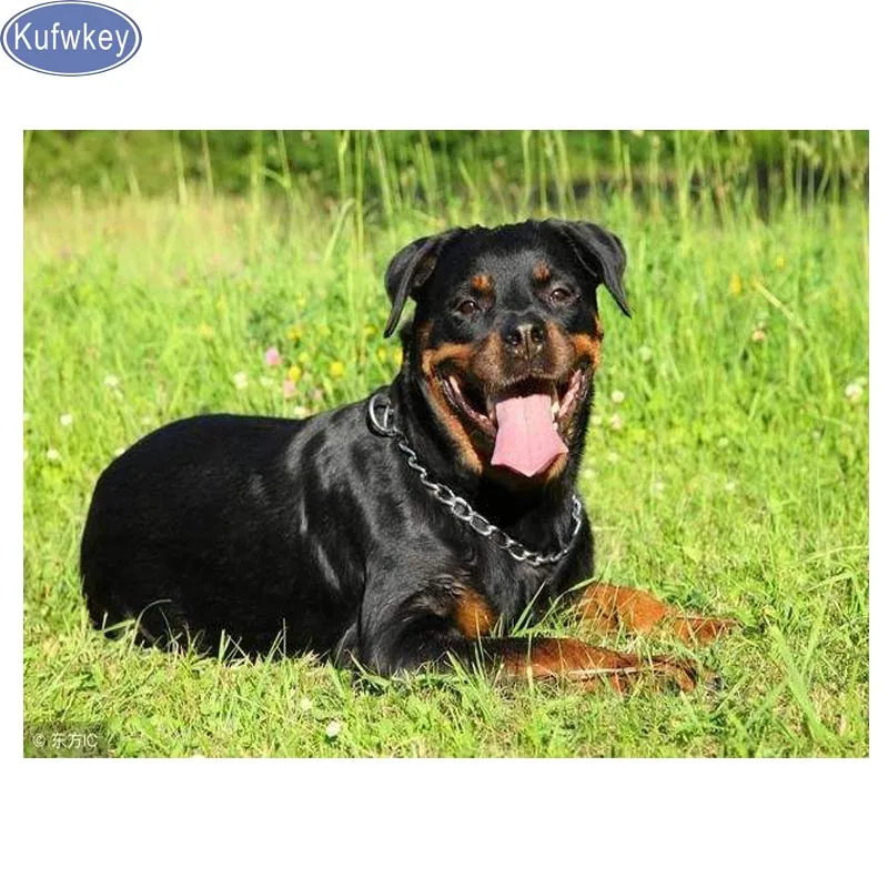 5D алмазная живопись сделай сам Ротвейлер вышивка крестиком полная круглая